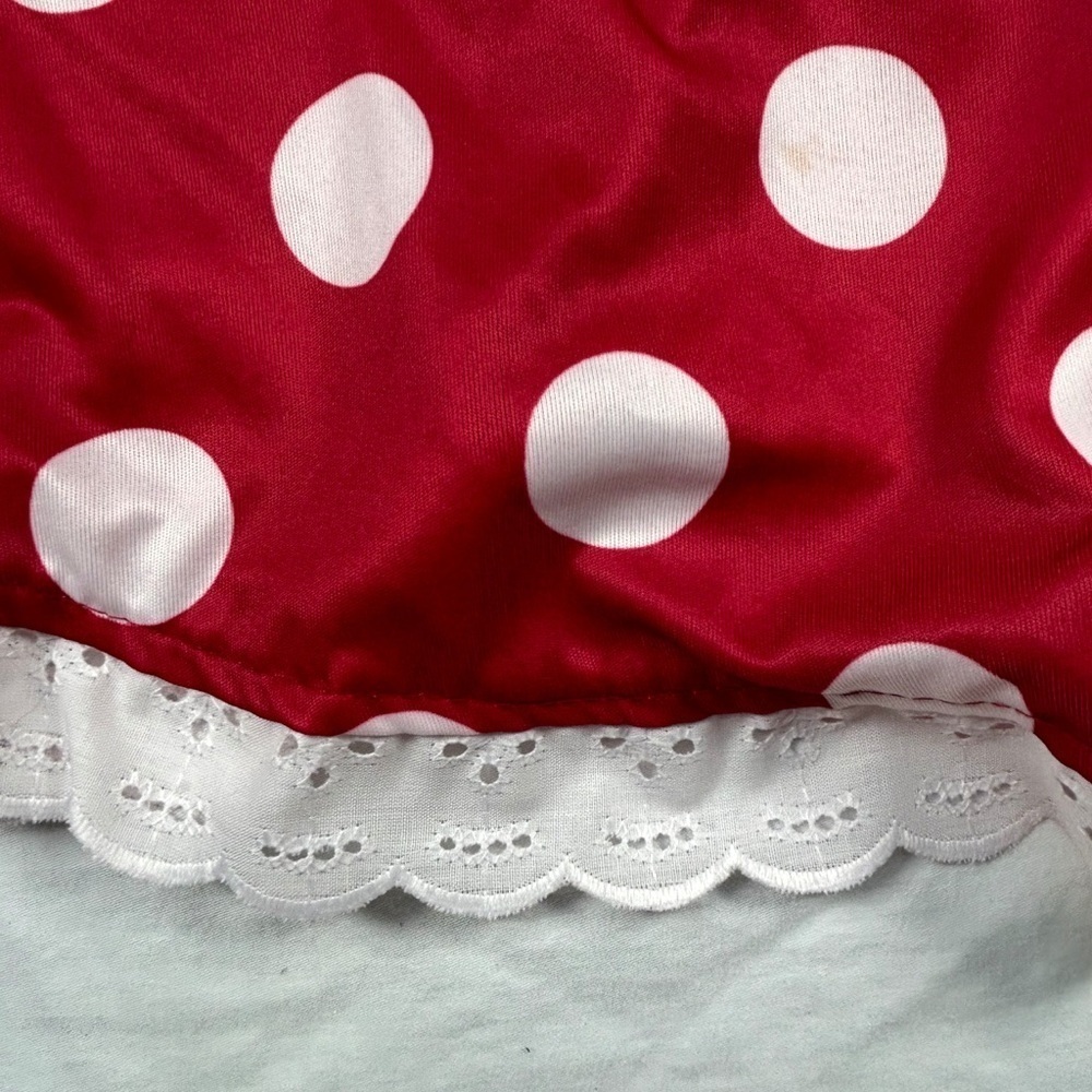 Little Miss Mouse Red Polka Dot Dress & Sash only.  Sz M Halloween Costume Adult - Picture 3 of 4